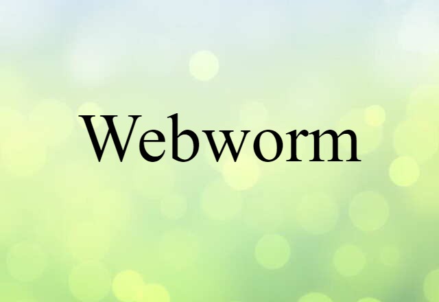 webworm