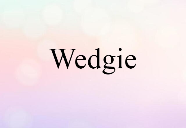 Wedgie (noun) Definition, Meaning & Examples