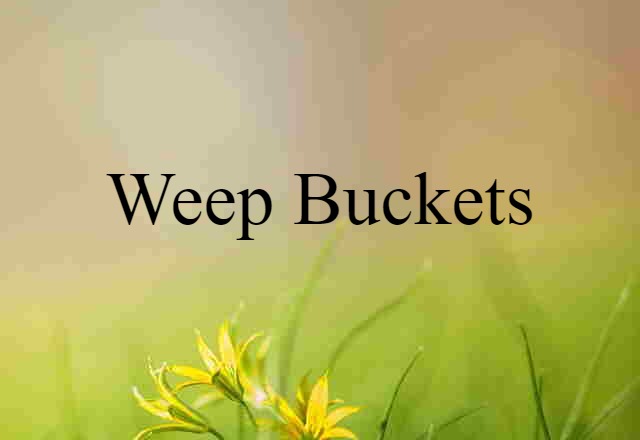 Weep Buckets (noun) Definition, Meaning & Examples