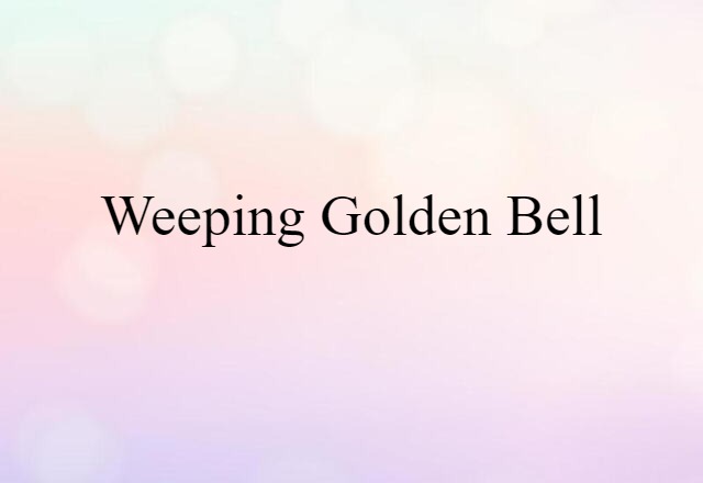 weeping golden bell