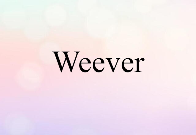 Weever (noun) Definition, Meaning & Examples