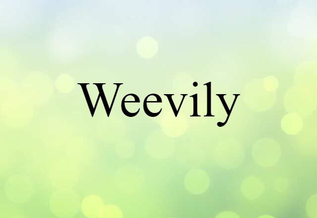 Weevily (noun) Definition, Meaning & Examples