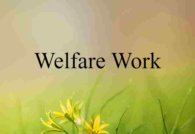 Welfare Work (noun) Definition, Meaning & Examples