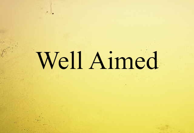 Well-aimed (noun) Definition, Meaning & Examples