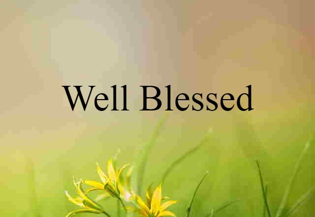 Well-blessed (noun) Definition, Meaning & Examples