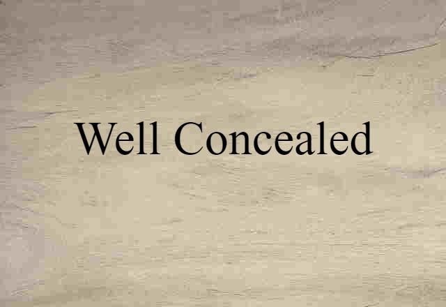 Well-concealed (noun) Definition, Meaning & Examples