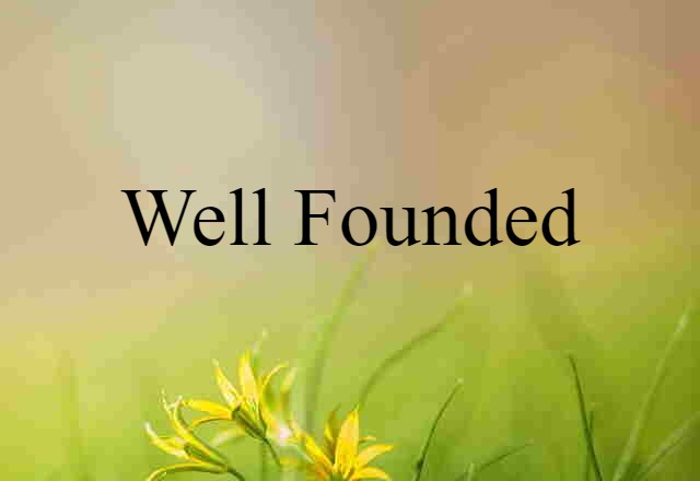 Well-founded (noun) Definition, Meaning & Examples