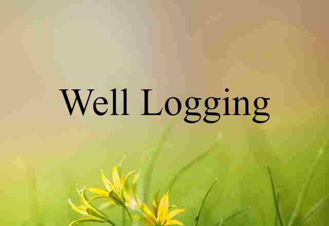 well logging