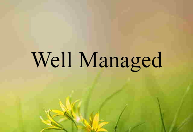 Well-managed (noun) Definition, Meaning & Examples