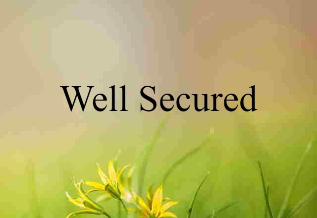 Well-secured (noun) Definition, Meaning & Examples