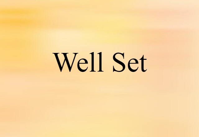 Well-set (noun) Definition, Meaning & Examples