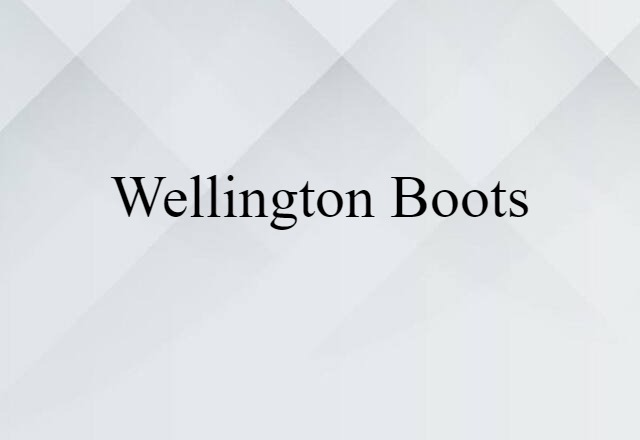 Wellington Boots (noun) Definition, Meaning & Examples