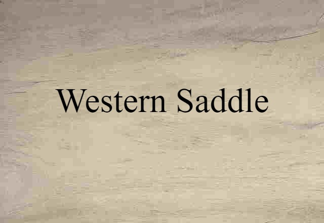 Western Saddle (noun) Definition, Meaning & Examples