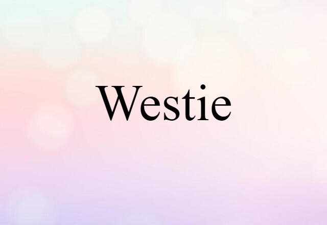 Westie (noun) Definition, Meaning & Examples