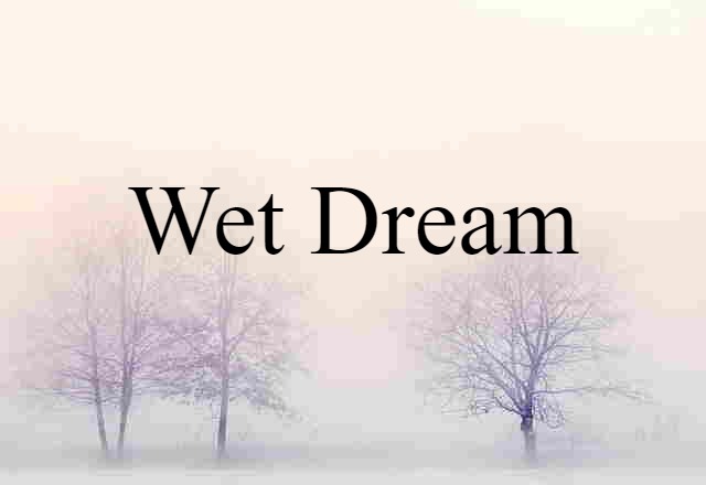 Wet Dream (noun) Definition, Meaning & Examples