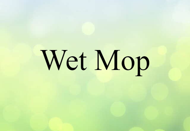 wet mop