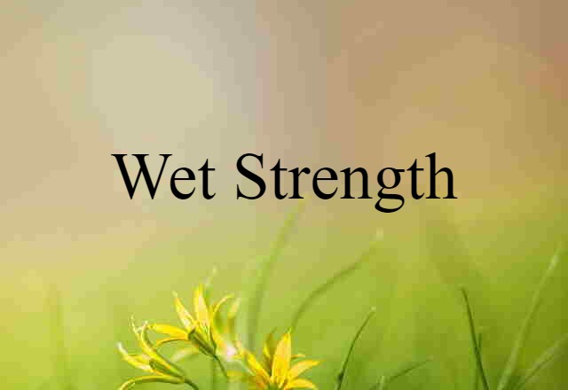 wet strength