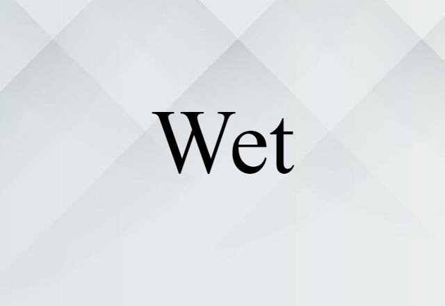 Wet (noun) Definition, Meaning & Examples