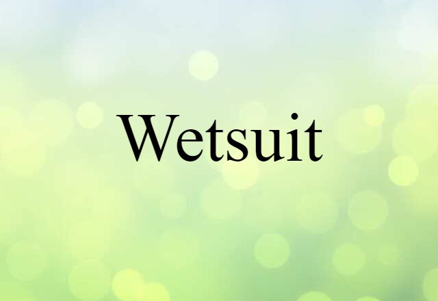 Wetsuit (noun) Definition, Meaning & Examples