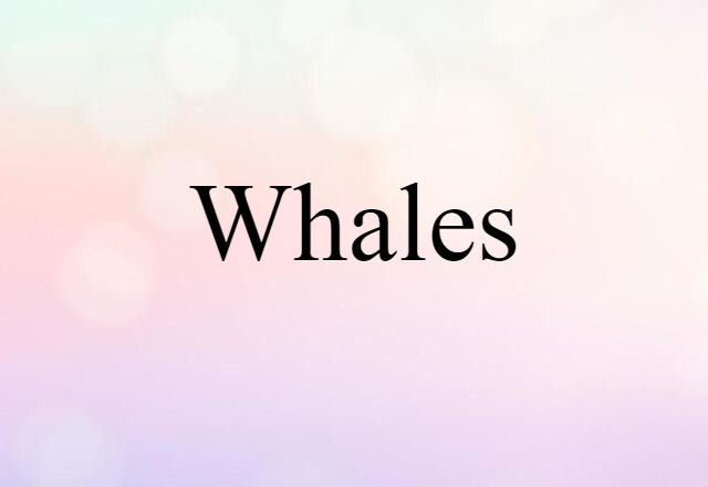 Whales (noun) Definition, Meaning & Examples