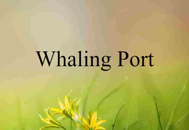 Whaling Port (noun) Definition, Meaning & Examples