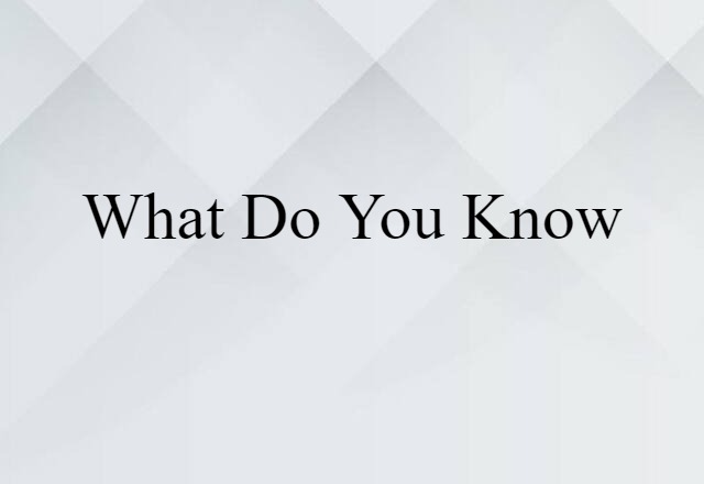 What Do You Know (noun) Definition, Meaning & Examples