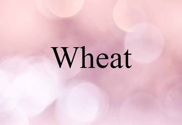 wheat