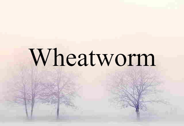 Wheatworm (noun) Definition, Meaning & Examples