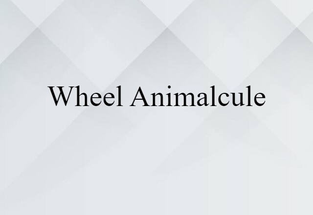 wheel animalcule