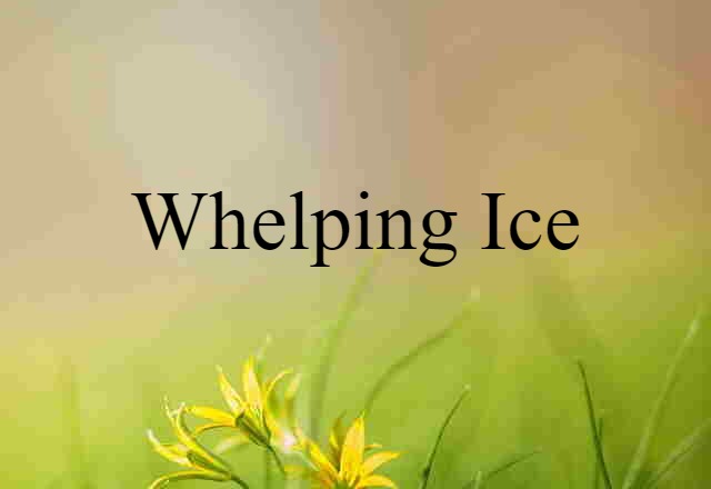 whelping ice