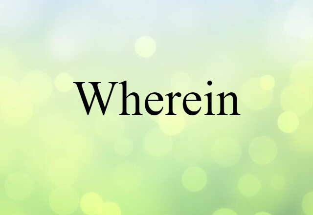 Wherein (noun) Definition, Meaning & Examples