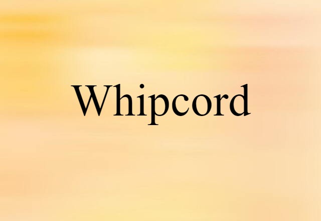 Whipcord (noun) Definition, Meaning & Examples