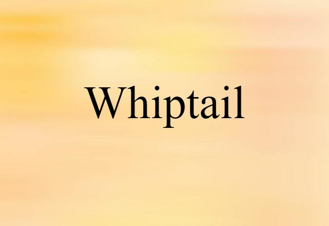 whiptail