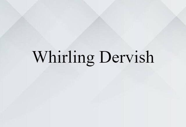 whirling dervish