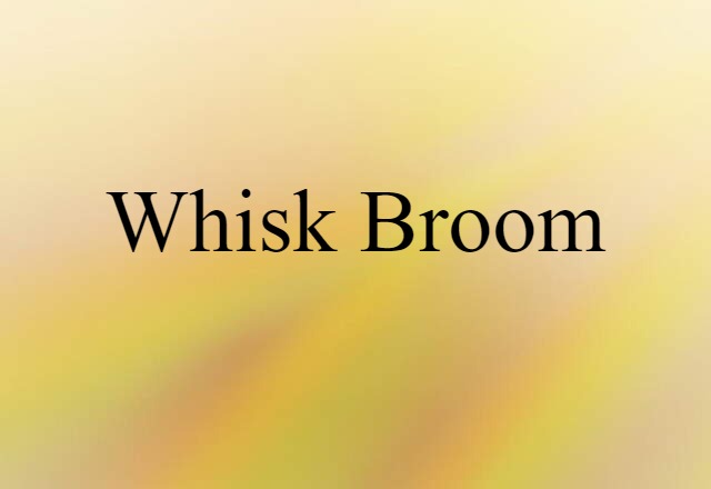 whisk broom