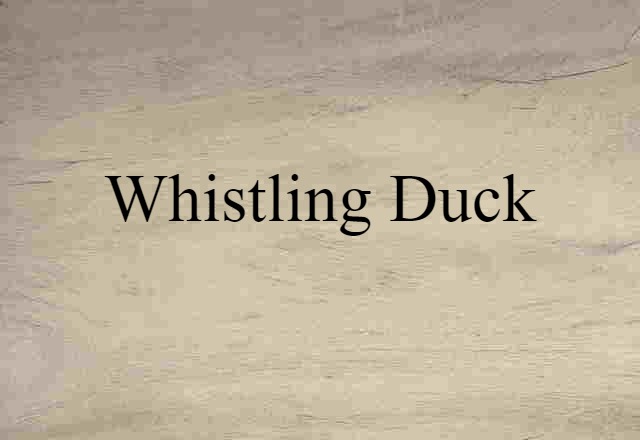 Whistling Duck (noun) Definition, Meaning & Examples