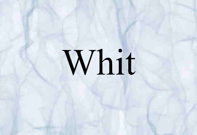 Whit (noun) Definition, Meaning & Examples