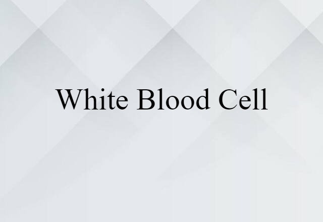 white blood cell