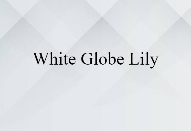 white globe lily