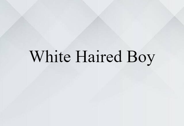 White-haired Boy (noun) Definition, Meaning & Examples