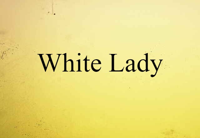 White Lady (noun) Definition, Meaning & Examples