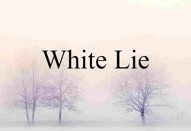 White Lie (noun) Definition, Meaning & Examples