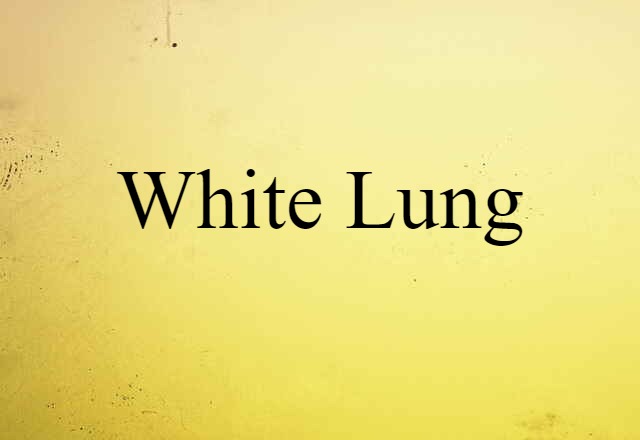 White Lung (noun) Definition, Meaning & Examples