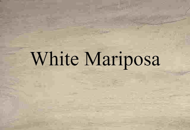 white Mariposa