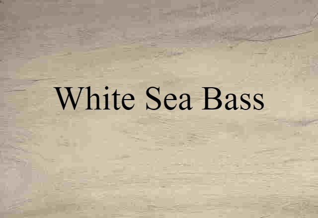 white sea bass