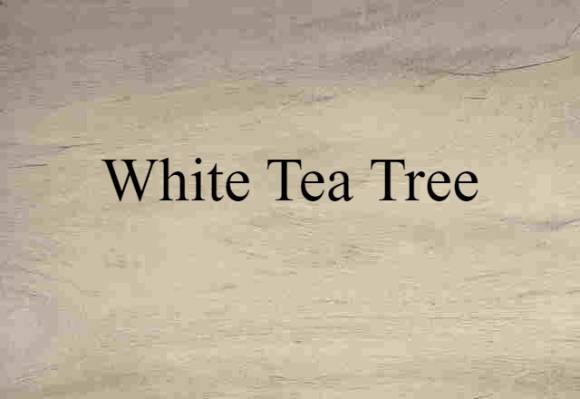 White Tea Tree (noun) Definition, Meaning & Examples