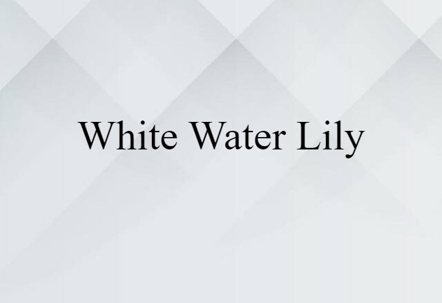 white water lily