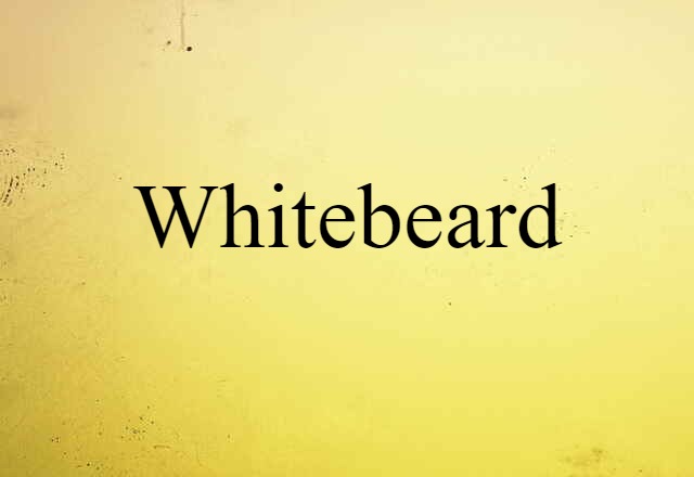 Whitebeard (noun) Definition, Meaning & Examples