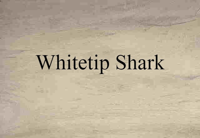 whitetip shark