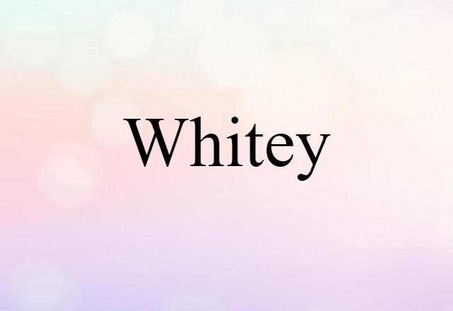 Whitey (noun) Definition, Meaning & Examples